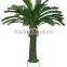 SJ300916 High initation fake bonsai tree/cycas foliage plant tree