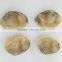 Clam Variety Frozen Half-Shell Baby Clam