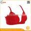 HSZ-58065 Hot Selling Beautiful Women Plus Size Bra Design China Sexy Bras