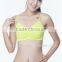 Fashion Colorfuly Seamless Stylish Yoga Sports Girl Brand Sexi Girl Bra