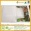 A4 File Folder with Elastic Band