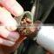 pva bag fish mesh