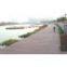 WPC outdoor decking floor