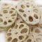 The Lotus Root Drying Machine
