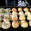 Japanese CE approved electric fish ball machine takoyaki grill