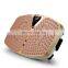 2020 New Home Equipment whole body vibration machine 200W whole body vibration