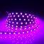 customized color Chinese factory christmas lights 12V led strip light