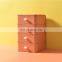 Stackable Drawer Storage Box bin Desktop Lipstick Organizer Plastic Drawer Organizer