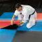 Cheapest price colorful puzzle eva tatami mats taekwondo japan