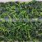 Sinocharm 2022 New Crop Non Worm Organic Fresh IQF Frozen Rape Flower