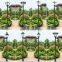 Outdoor Garden Street Light Solar Lighting Lamp Outdoor Waterproof Led Lights