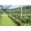 Agricultural HDPE Anti Hail Net Screenhouse for Plants Protection Fruit Apple Tree