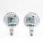 Intelligent Pressure Gauge Calibration with HART Communication