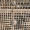 Pig Calico Net0.8cm*5cmfecal Leakage Grillebeautiful