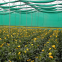 HDPE Monofilament Green Shade Net 50% 75% Shading Plants Windbreaker Shade Cloth