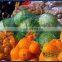 Hot sale 50lbs coconut mesh bag 25kg