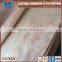 0.2-1.0mm rotary cut plywood sheet okoume veneer