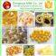 Best Price High Quality Extruded Corn Snacks Food Production Line for Plant