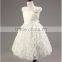 New model wholesale girls white lace applique princess frocks kids party dresses TR-WS35