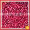 Chinese Organic Iqf Wild Lingonberry