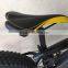 2016 popular 350W electric bike with fat tyres