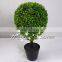 Selling table decoration artificial boxwood grass ball bonsai