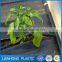 Low Price Suntex Supply Black Recyclable 100% PP Garden Ground Cover