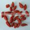 Name of all dried fruit preserves fruit snack manufacturing from china                        
                                                                Most Popular