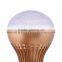 5730 SMD LED 12V/ 2W Cool White LED Bulb With E27 Base