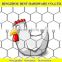 hexagonal chicken wire mesh
