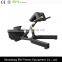 back extension exercise machine gym equipment