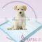 RF-BKB automatic servo pet pad making machine