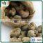 Cambodia For Sale Cashew With Shell