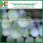 Chinese fresh peeled onion