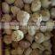 New Crops Fresh Garlic White 4.5cm-6.0cm Jingxiang Shandong Province