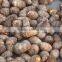 Fresh Taro Exporter