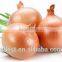 Bulk new crop chinese Fresh product yellow onion