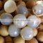 Canned sweet longan in syrup