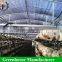 Low cost agricultural greenhouse for mushroom grow
