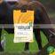 Animal feed for cattle