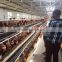 laying chicken hens battery cage 3tier Atype cage for 96 chickens