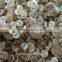Flower shape natural japanese agoya shell buttons