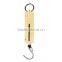Hanging clasp scale/fishing scale/Handle scale