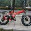 20inch with CE certificate foldable fat tire brushless hub motor electric folding bike