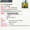 Plastic hedge artificial green grass plant statue