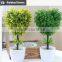 White potted evergreen plants table centerpiece tree