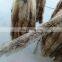 Factory wholesale customized size and color real raccoon fur trim strips
