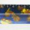 Professional Free Sample 3d lenticular plastic scale ruler Made in China