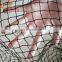 Pigeon control system net to maintain good health, garden and real estate property