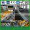 Fruit & Vegetable Washing Drying Waxing Sorting Line Machine Fruits Processing